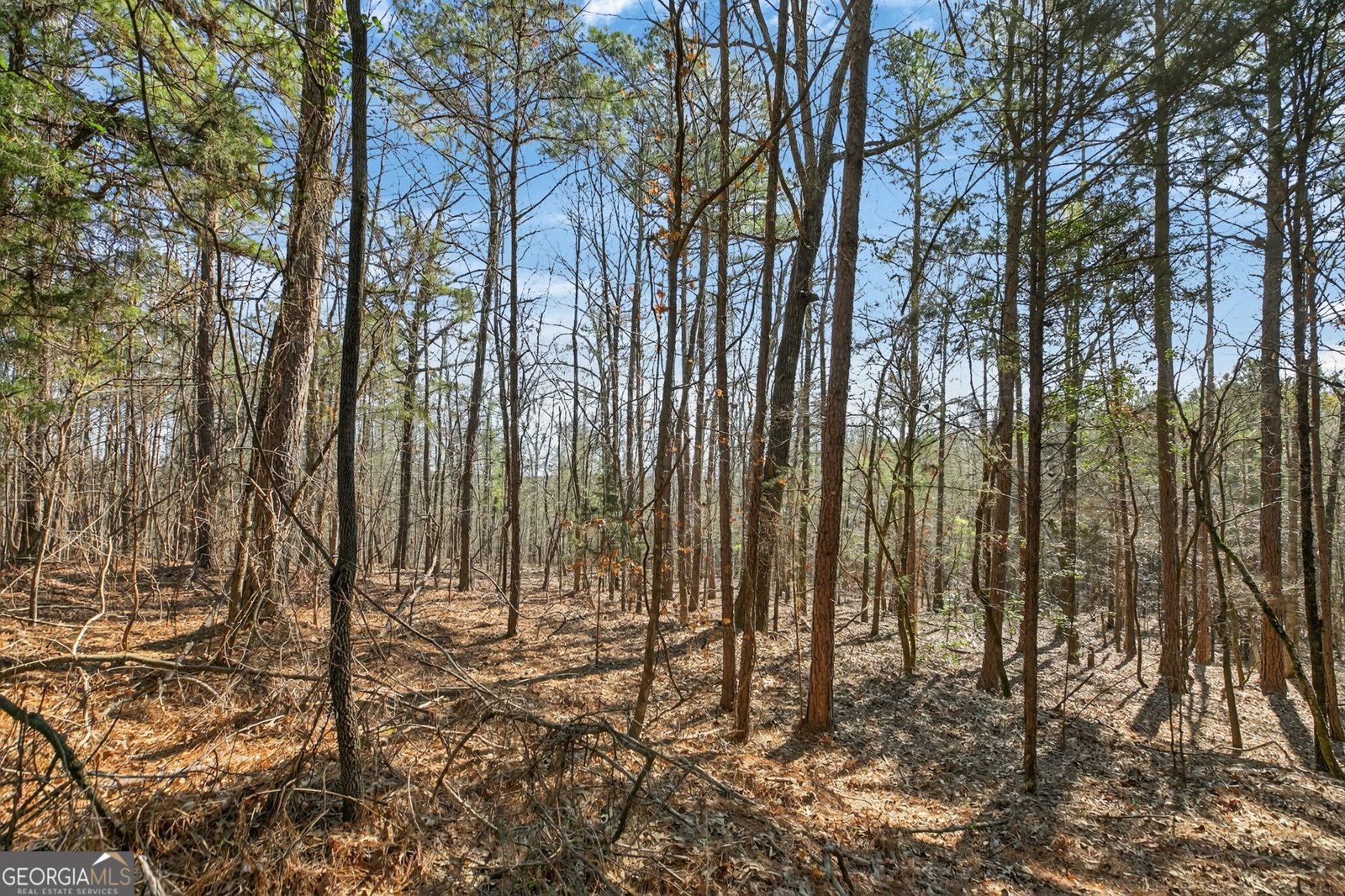 5010 US Highway 27 Franklin - Photo 32