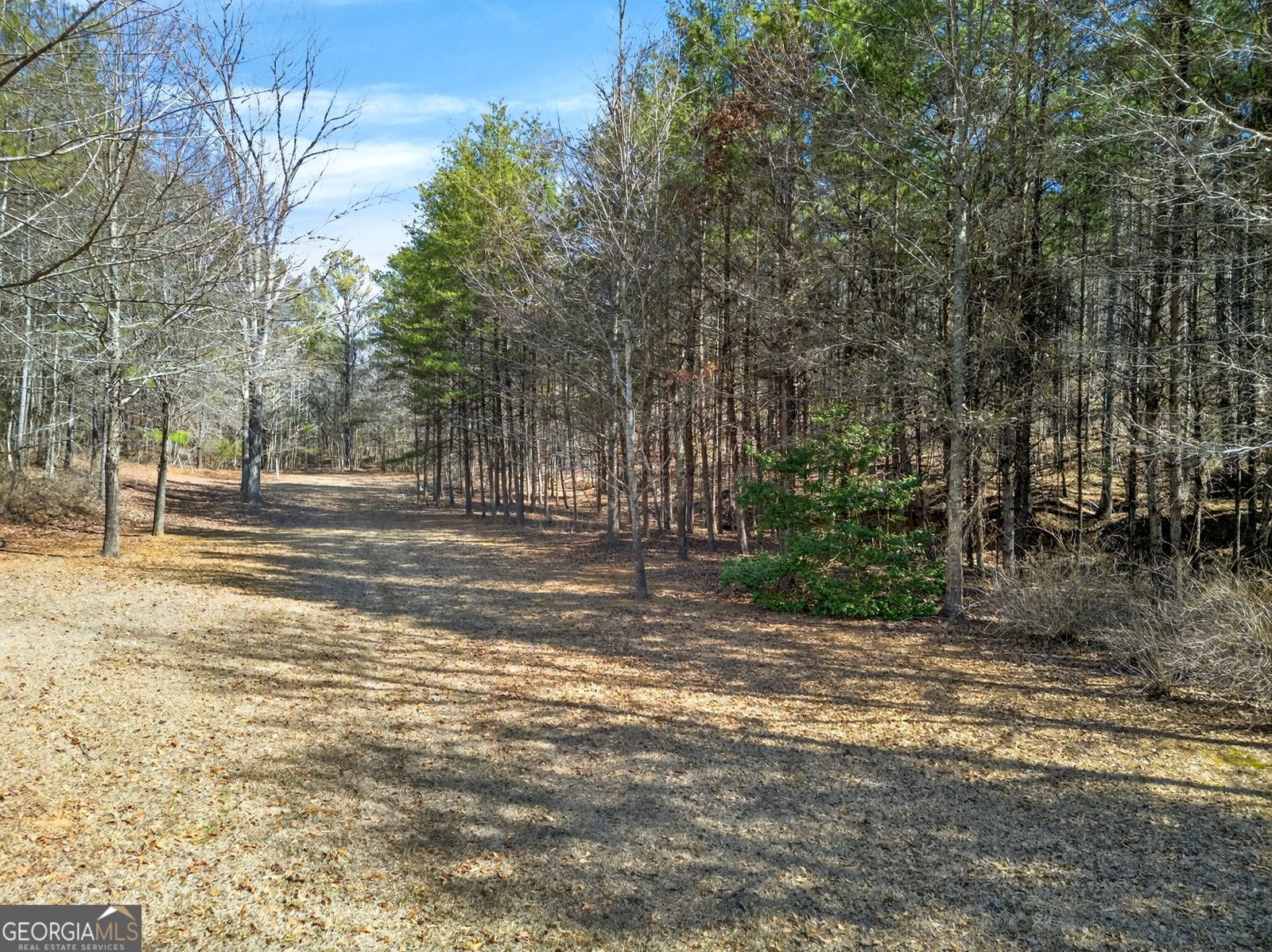 5010 US Highway 27 Franklin - Photo 34