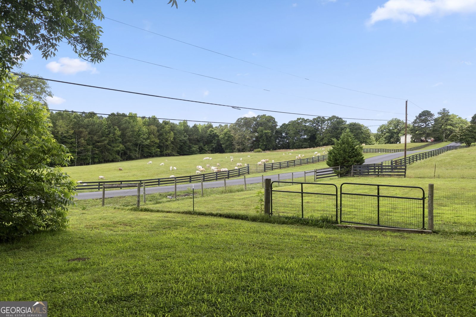 1038 Stringer Road Rockmart - Photo 59