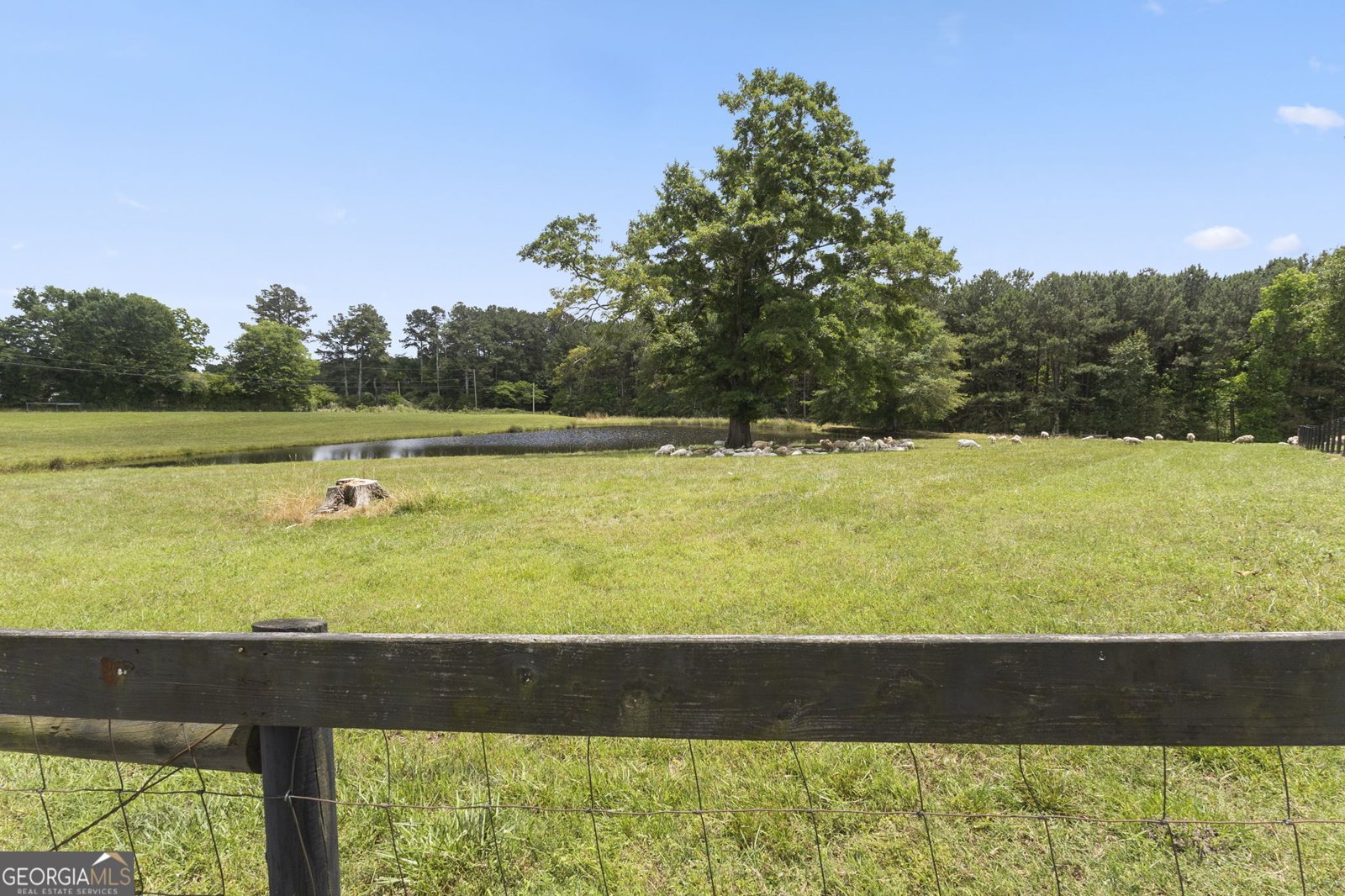 1038 Stringer Road Rockmart - Photo 62