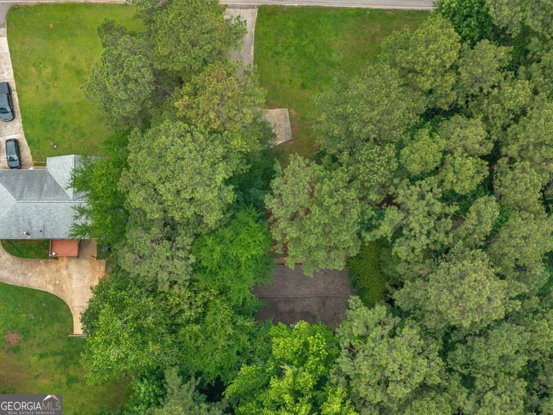260 Pinehurst Drive Stockbridge - Photo 23