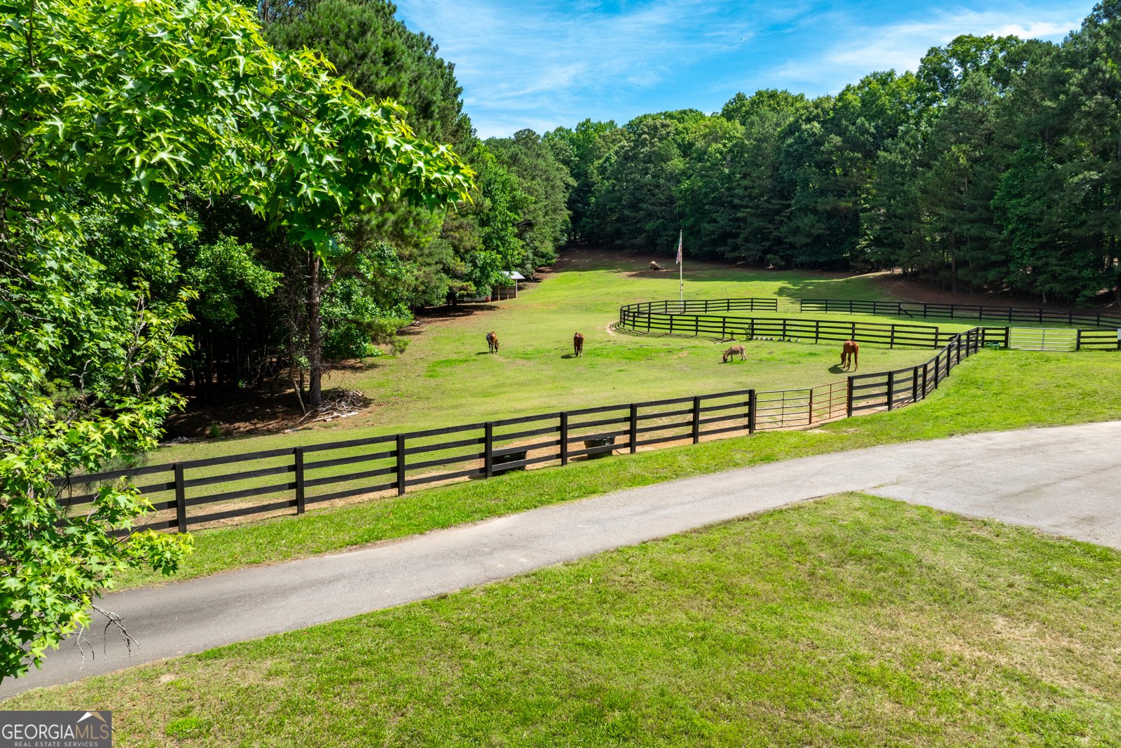 3554 Martin Creek Drive Gainesville - Photo 51