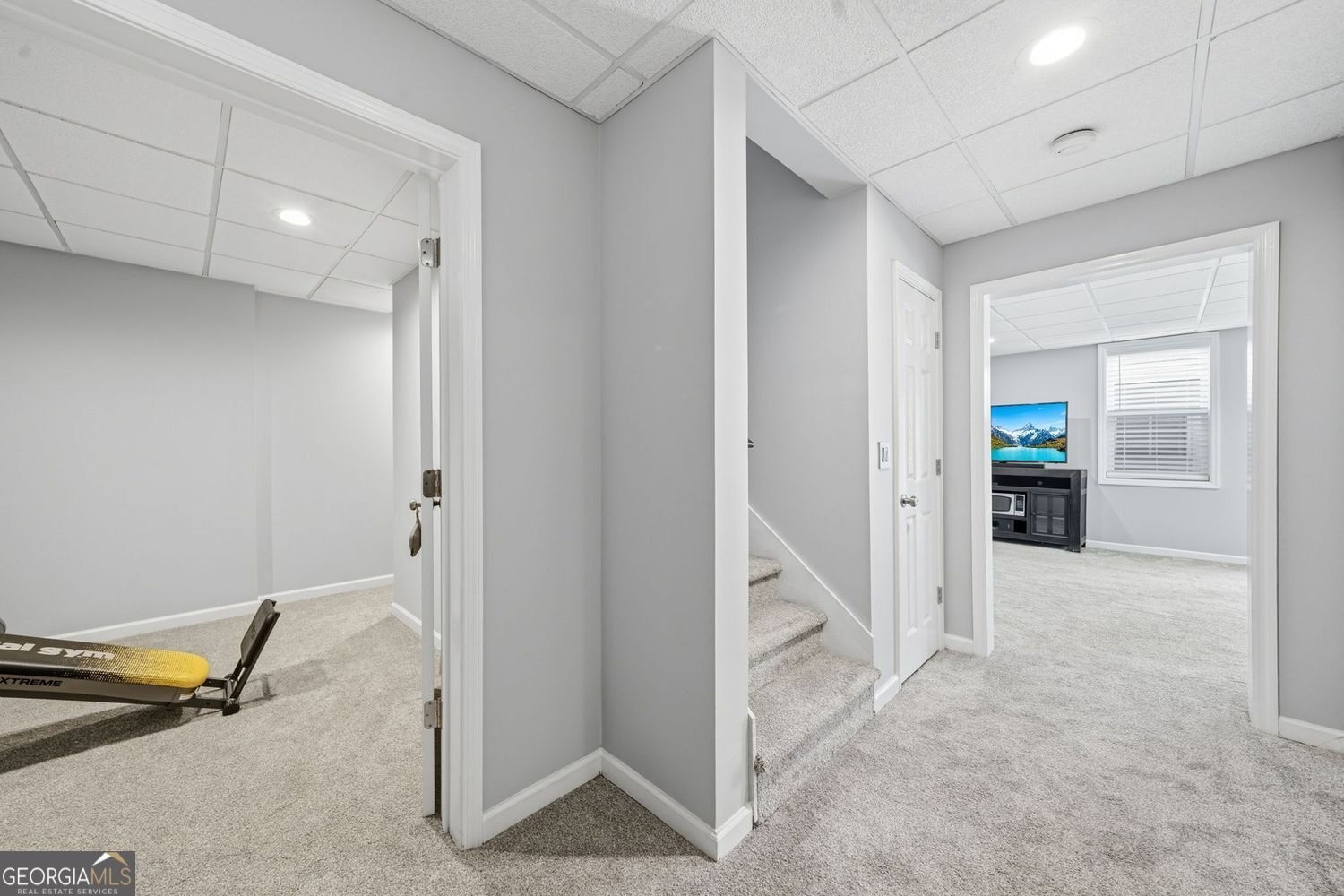 5437 Blue Cedar Drive Sugar Hill - Photo 47