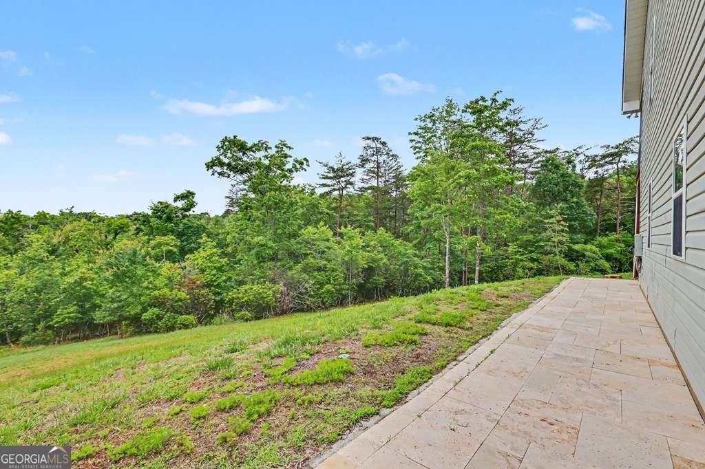 234 Pheasant Trail Warne - Photo 52