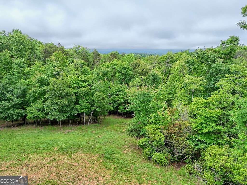 234 Pheasant Trail Warne - Photo 74