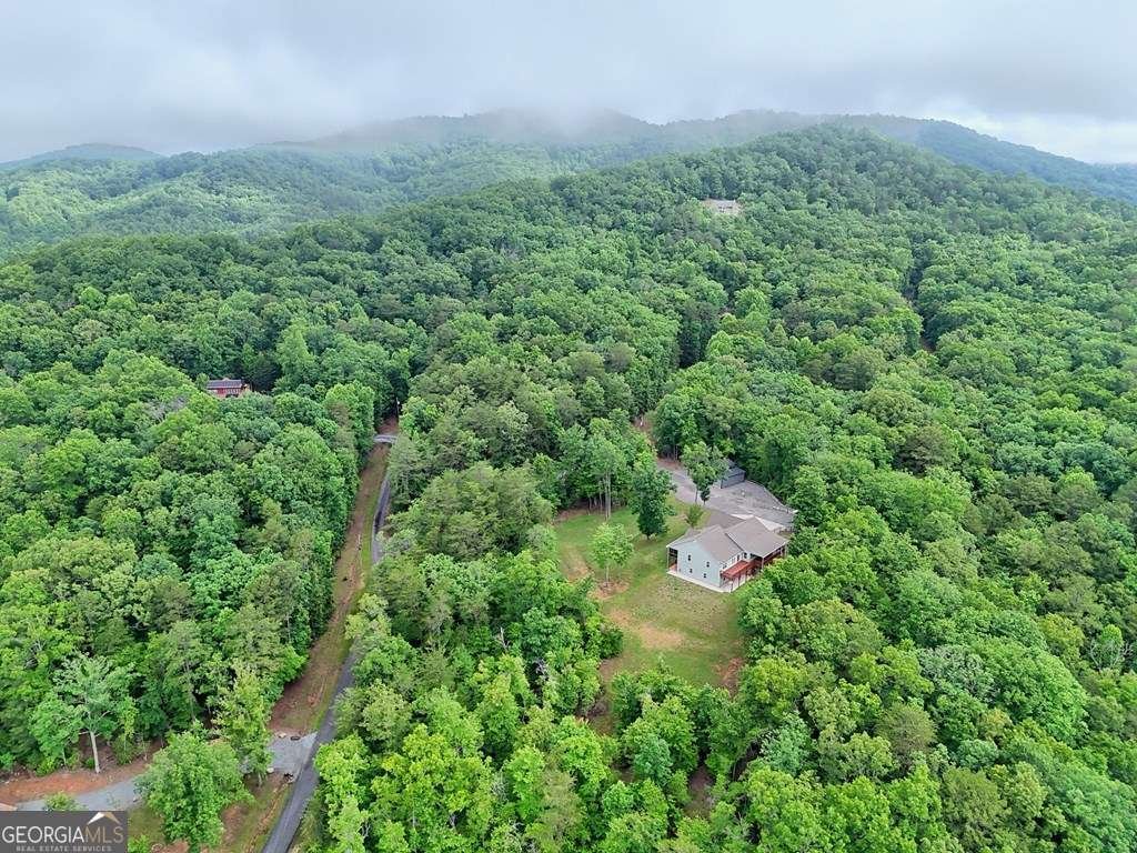 234 Pheasant Trail Warne - Photo 75
