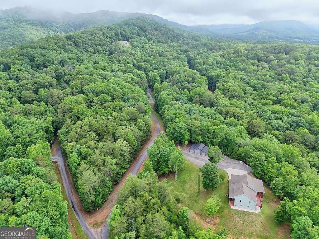 234 Pheasant Trail Warne - Photo 76