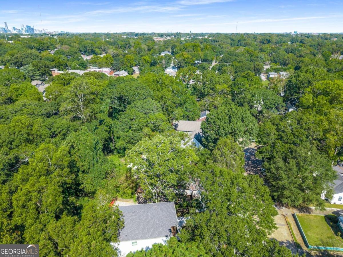 271 Haas Avenue Atlanta - Photo 54