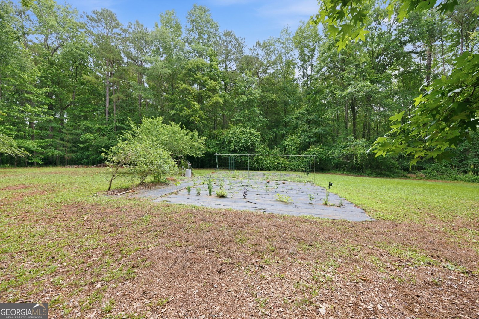 6233 Ga Highway 87 Macon - Photo 31