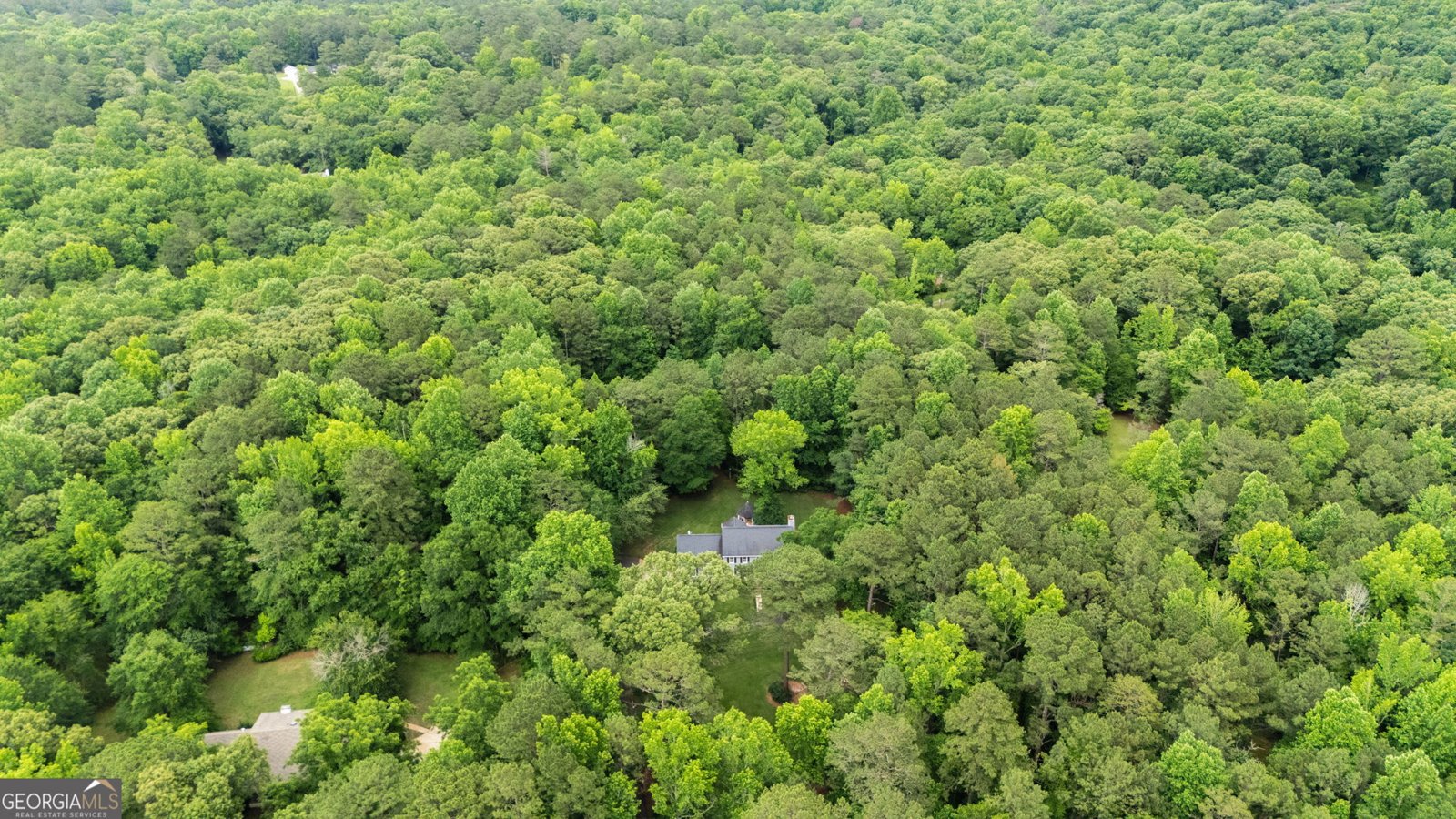 6233 Ga Highway 87 Macon - Photo 35