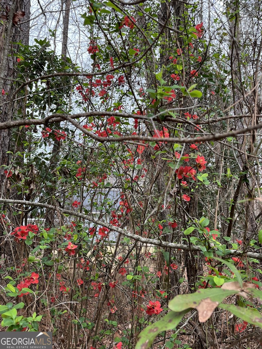 6233 Ga Highway 87 Macon - Photo 40