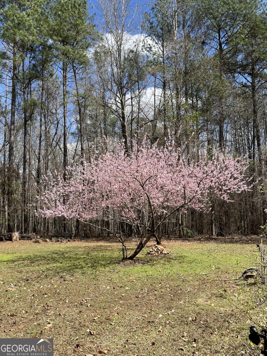 6233 Ga Highway 87 Macon - Photo 41