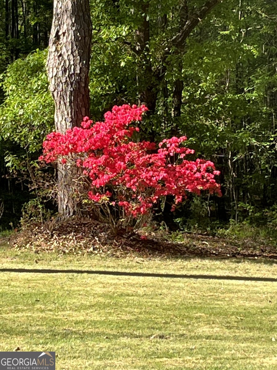 6233 Ga Highway 87 Macon - Photo 42