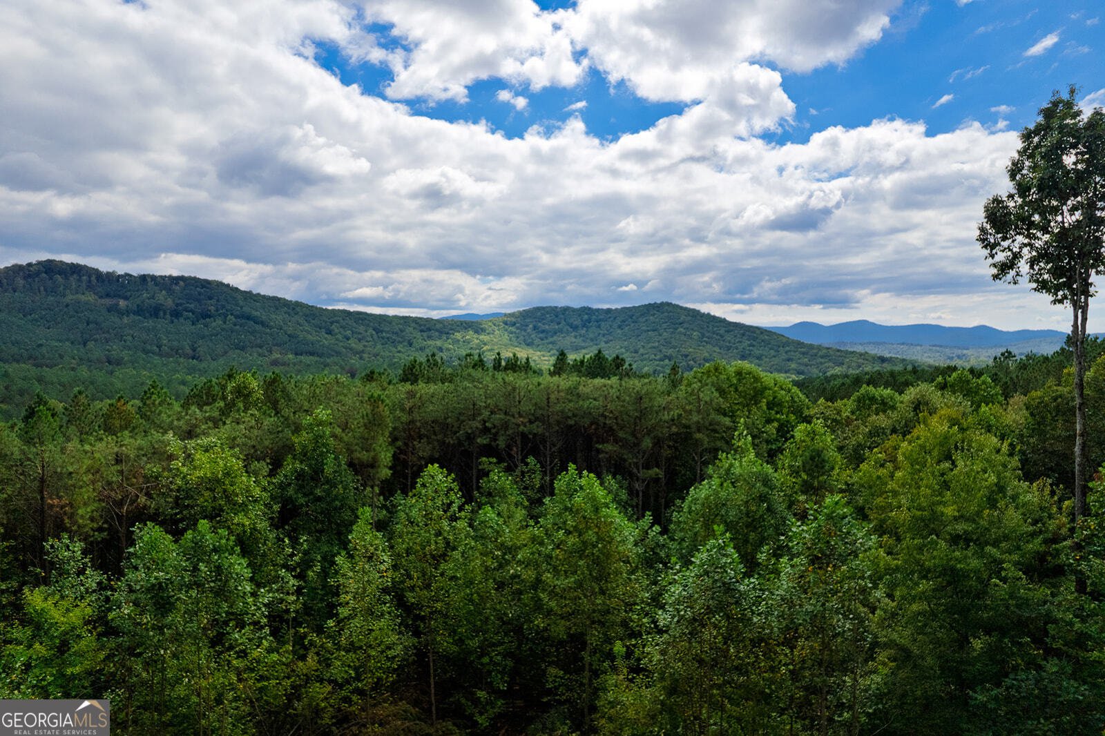 239 Ridge Top Drive Ellijay - Photo 16