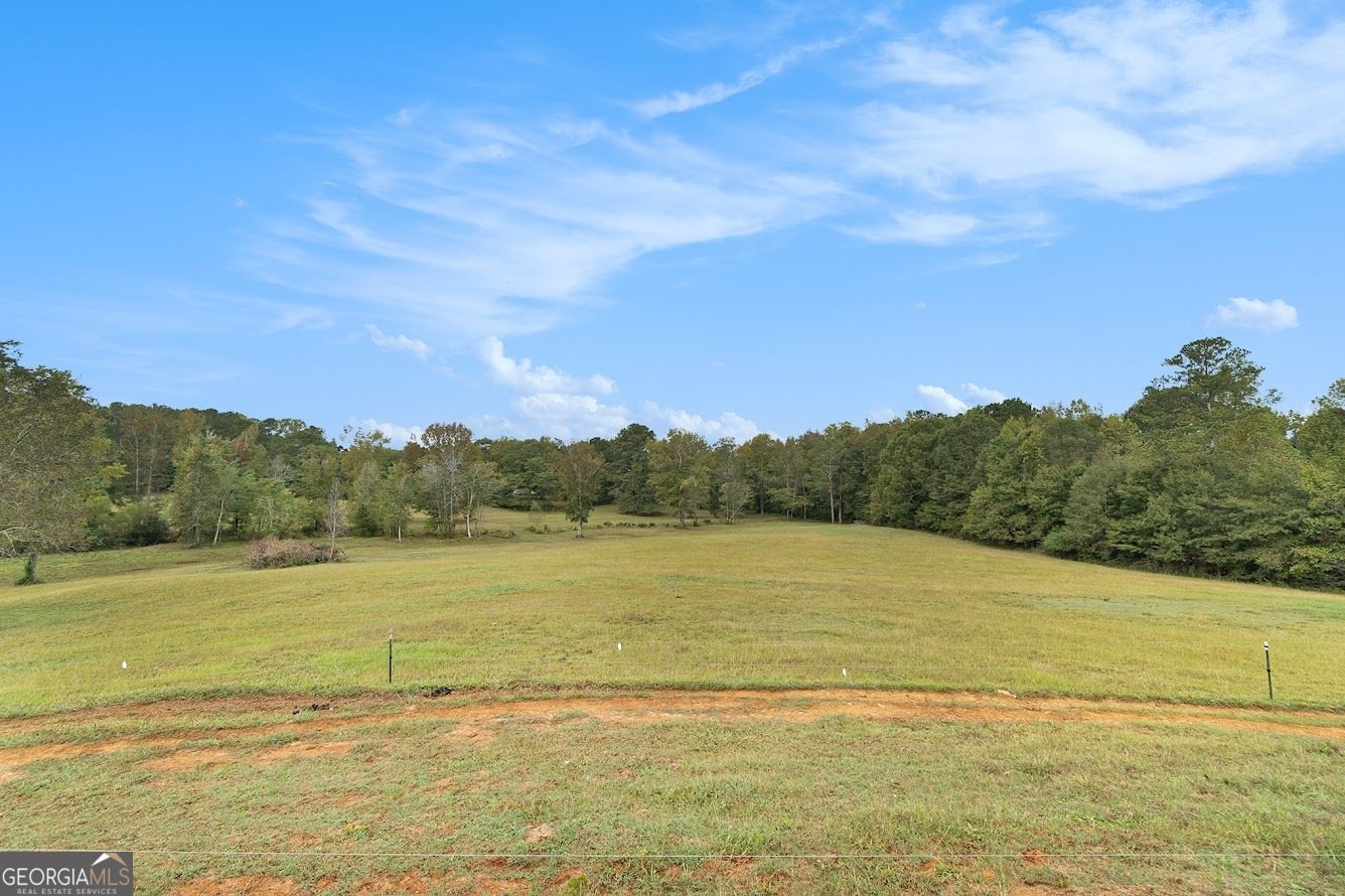 533 Buffalo Creek Road Carrollton - Photo 8
