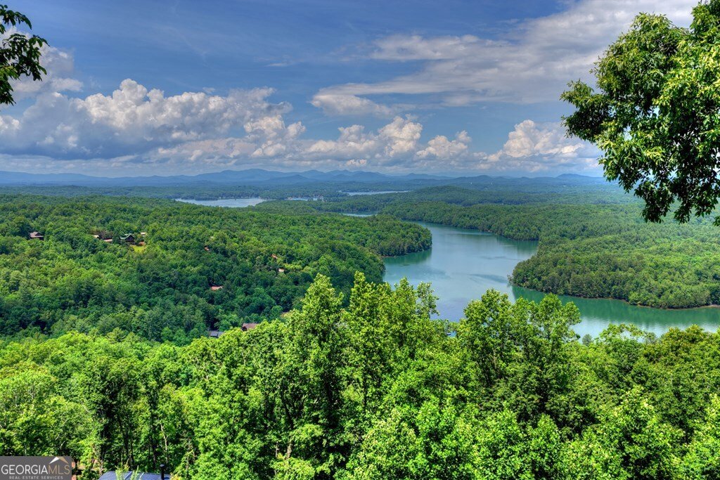 454 Genessee Path Blue Ridge - Photo 11