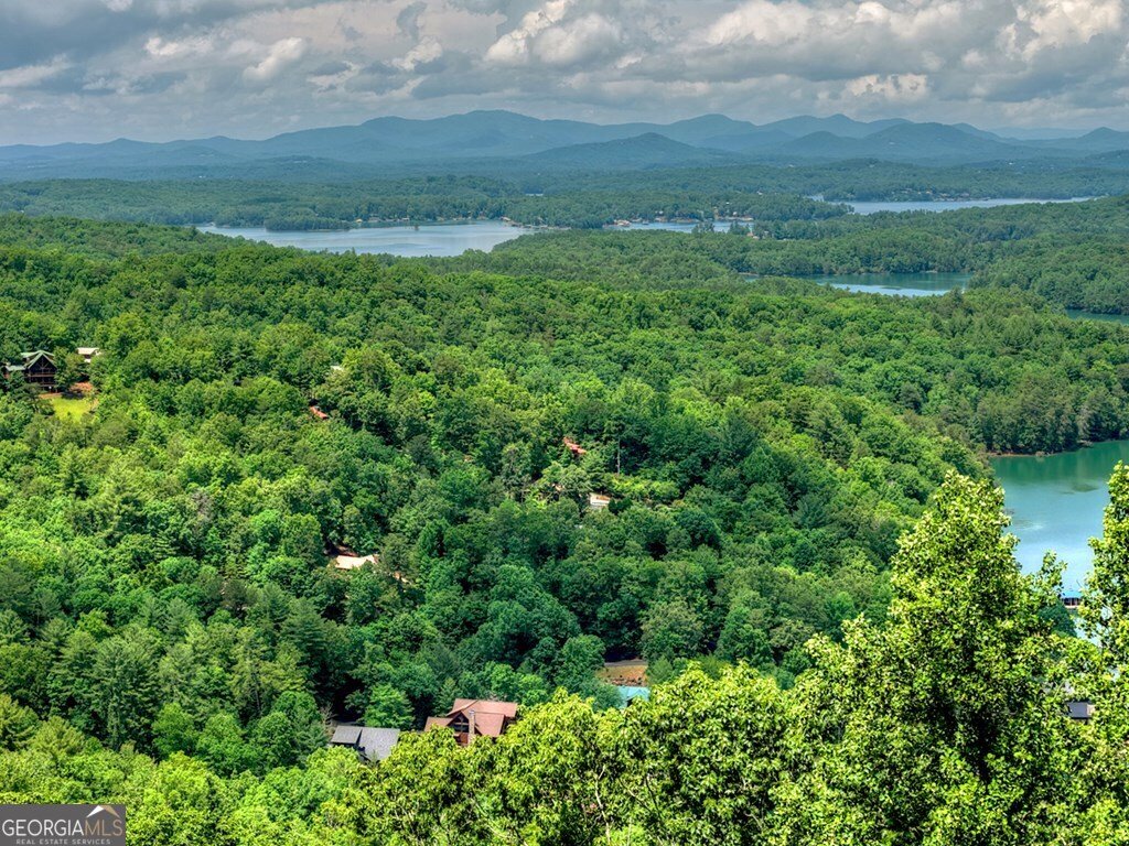 454 Genessee Path Blue Ridge - Photo 12