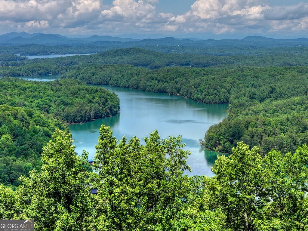 454 Genessee Path Blue Ridge - Photo 13