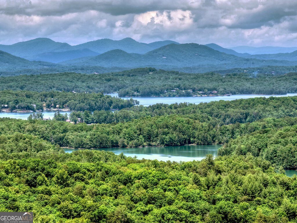 454 Genessee Path Blue Ridge - Photo 14