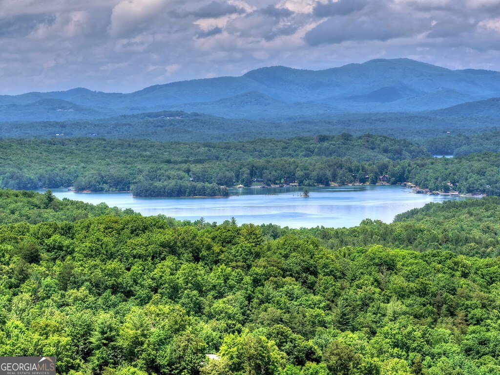 454 Genessee Path Blue Ridge - Photo 15