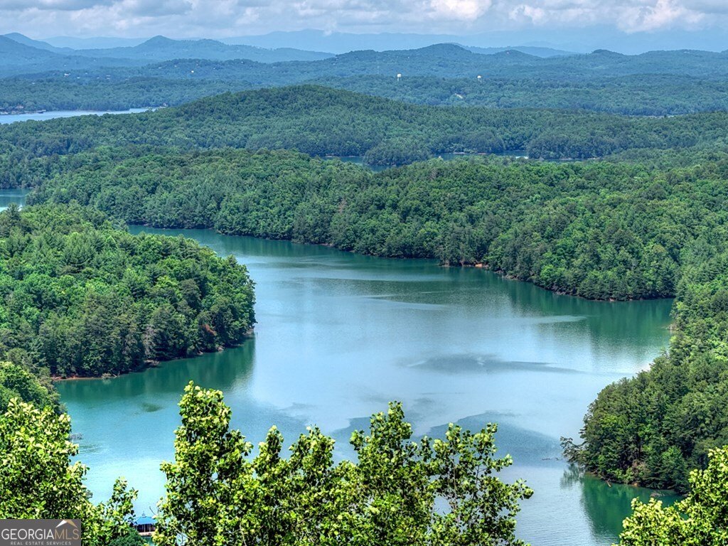 454 Genessee Path Blue Ridge - Photo 16