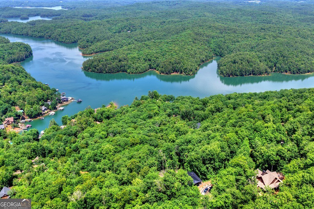 454 Genessee Path Blue Ridge - Photo 18