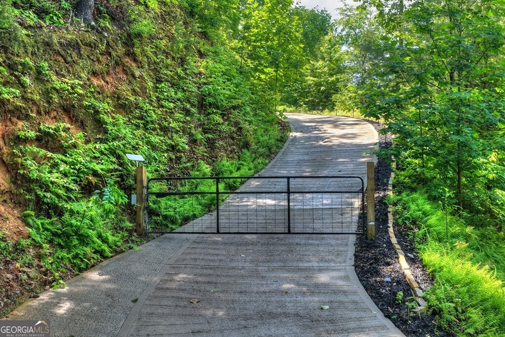 454 Genessee Path Blue Ridge - Photo 19