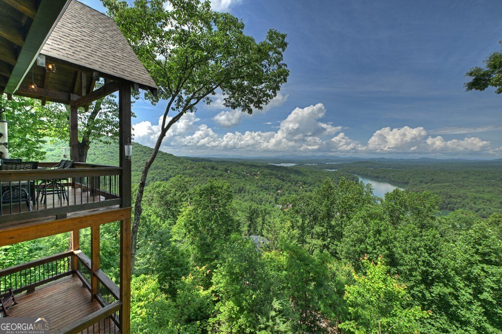 454 Genessee Path Blue Ridge - Photo 37