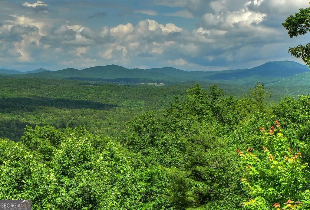 454 Genessee Path Blue Ridge - Photo 90