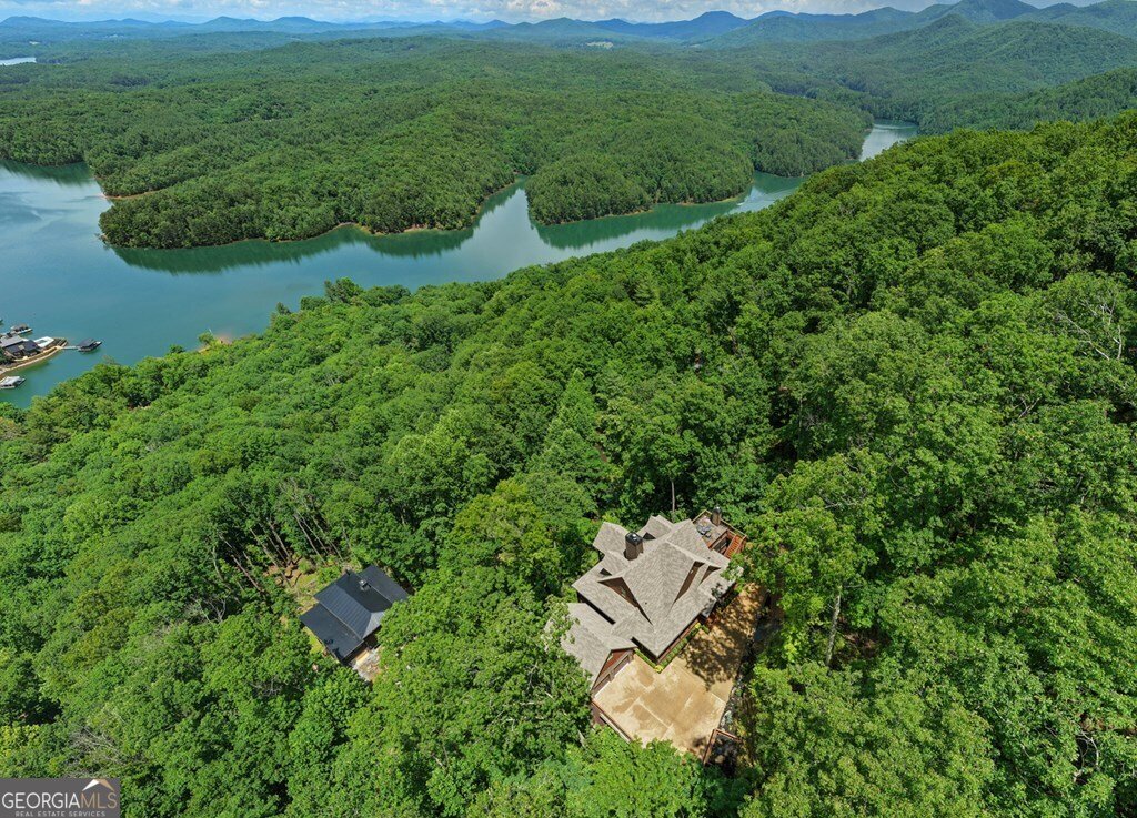 454 Genessee Path Blue Ridge - Photo 91