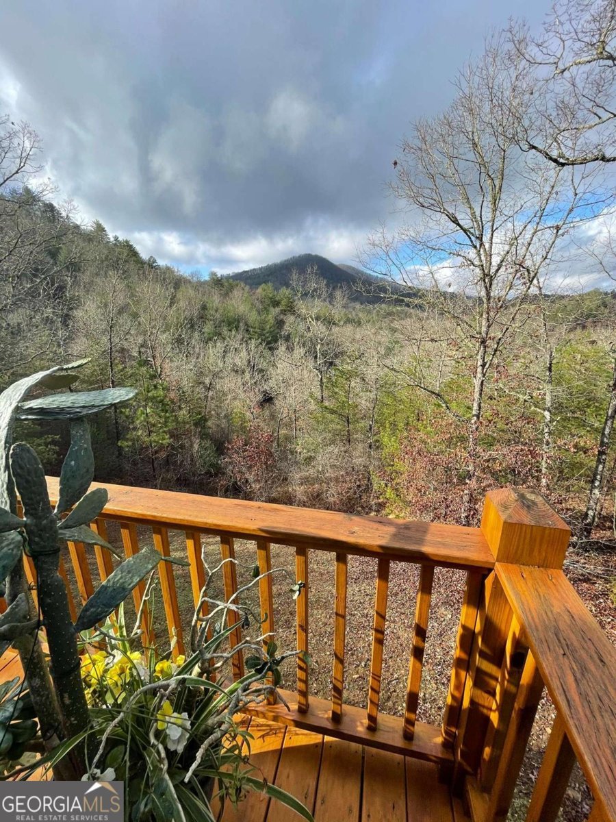 85 Flat Top Trail Murphy - Photo 21