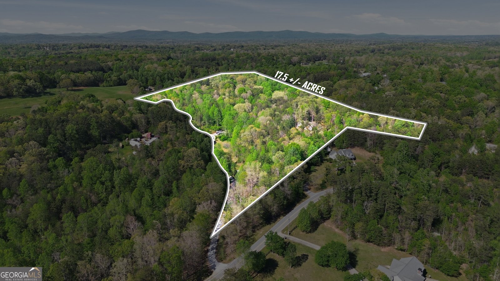 1655 Pardue Mill Road Demorest - Photo 54