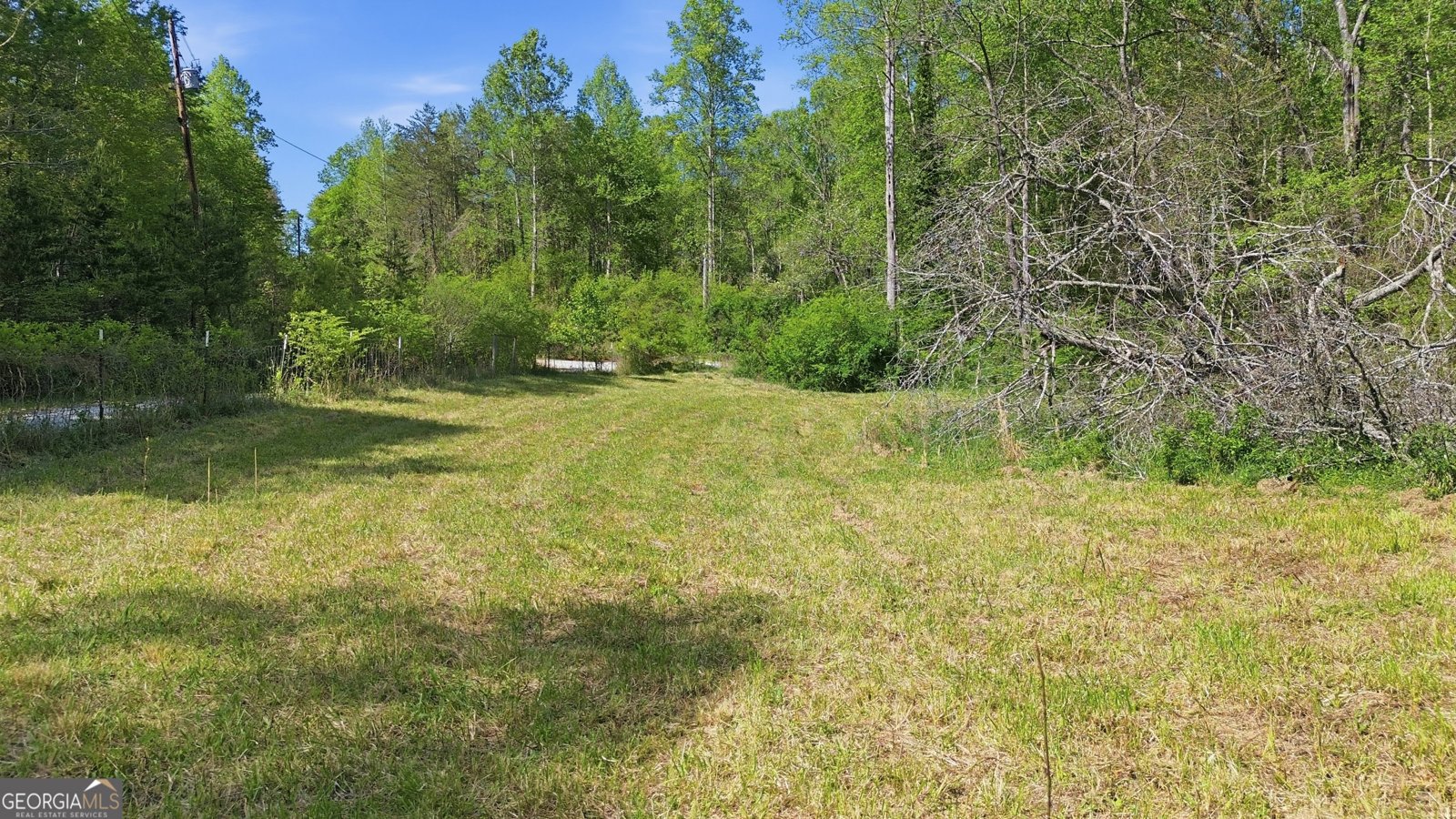 1655 Pardue Mill Road Demorest - Photo 59