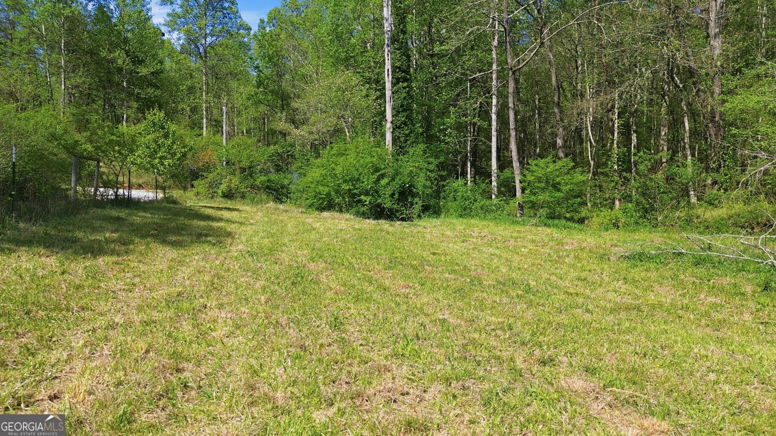 1655 Pardue Mill Road Demorest - Photo 60