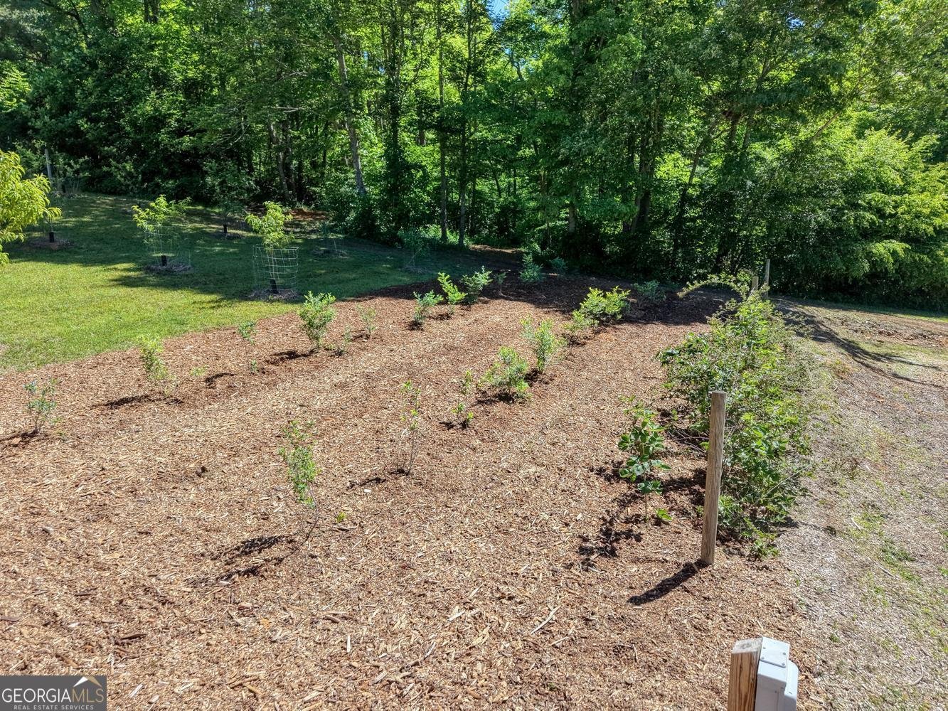 4836 Owltown Road Blairsville - Photo 56