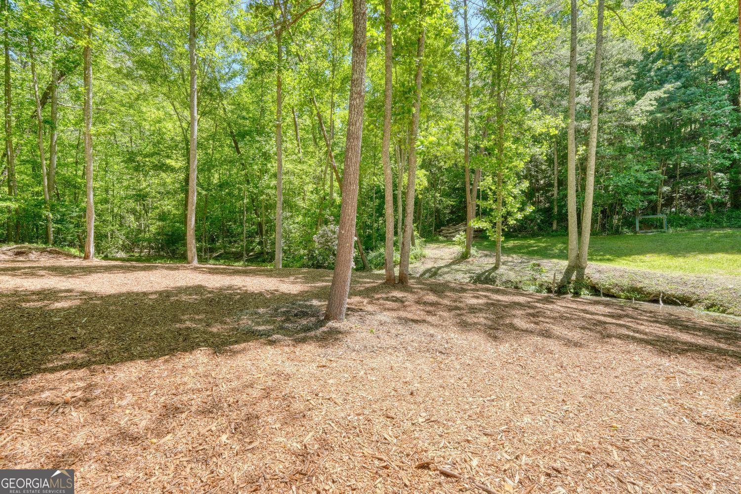 4836 Owltown Road Blairsville - Photo 69