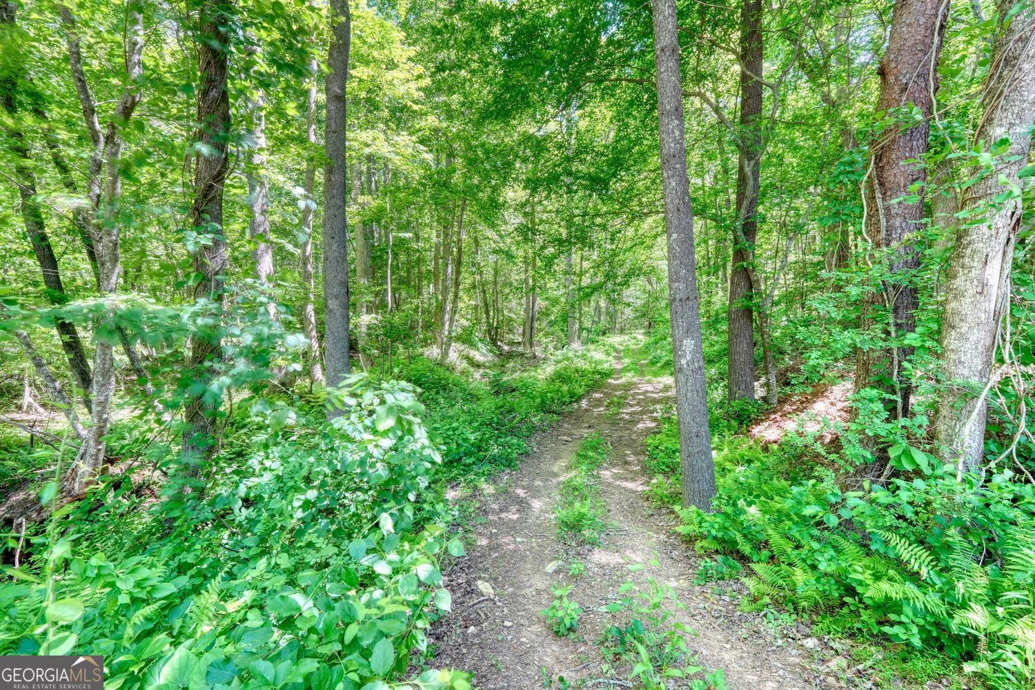4836 Owltown Road Blairsville - Photo 73