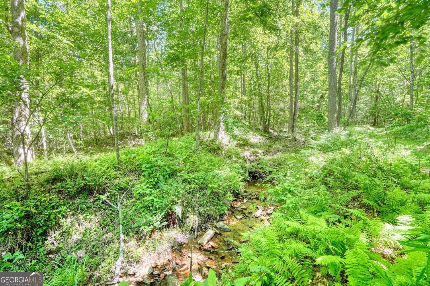 4836 Owltown Road Blairsville - Photo 74