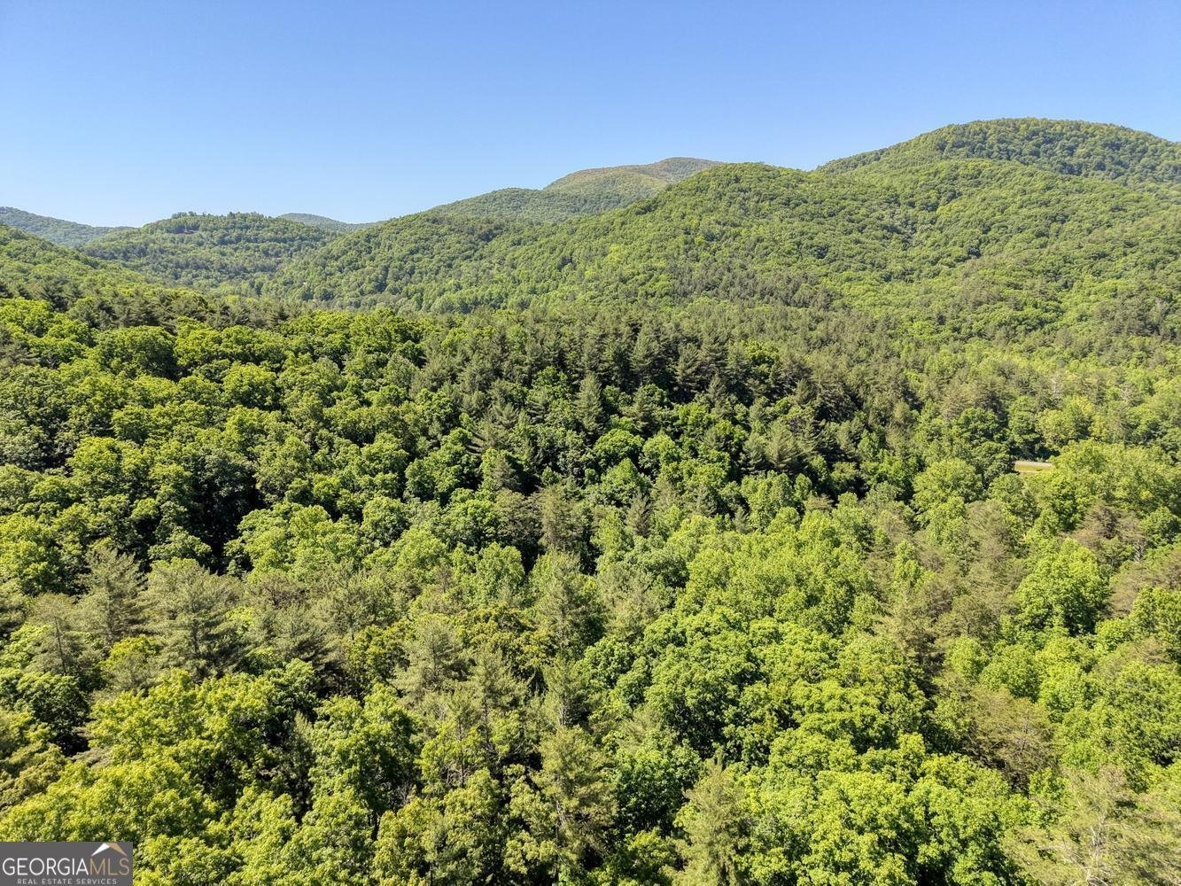 4836 Owltown Road Blairsville - Photo 93