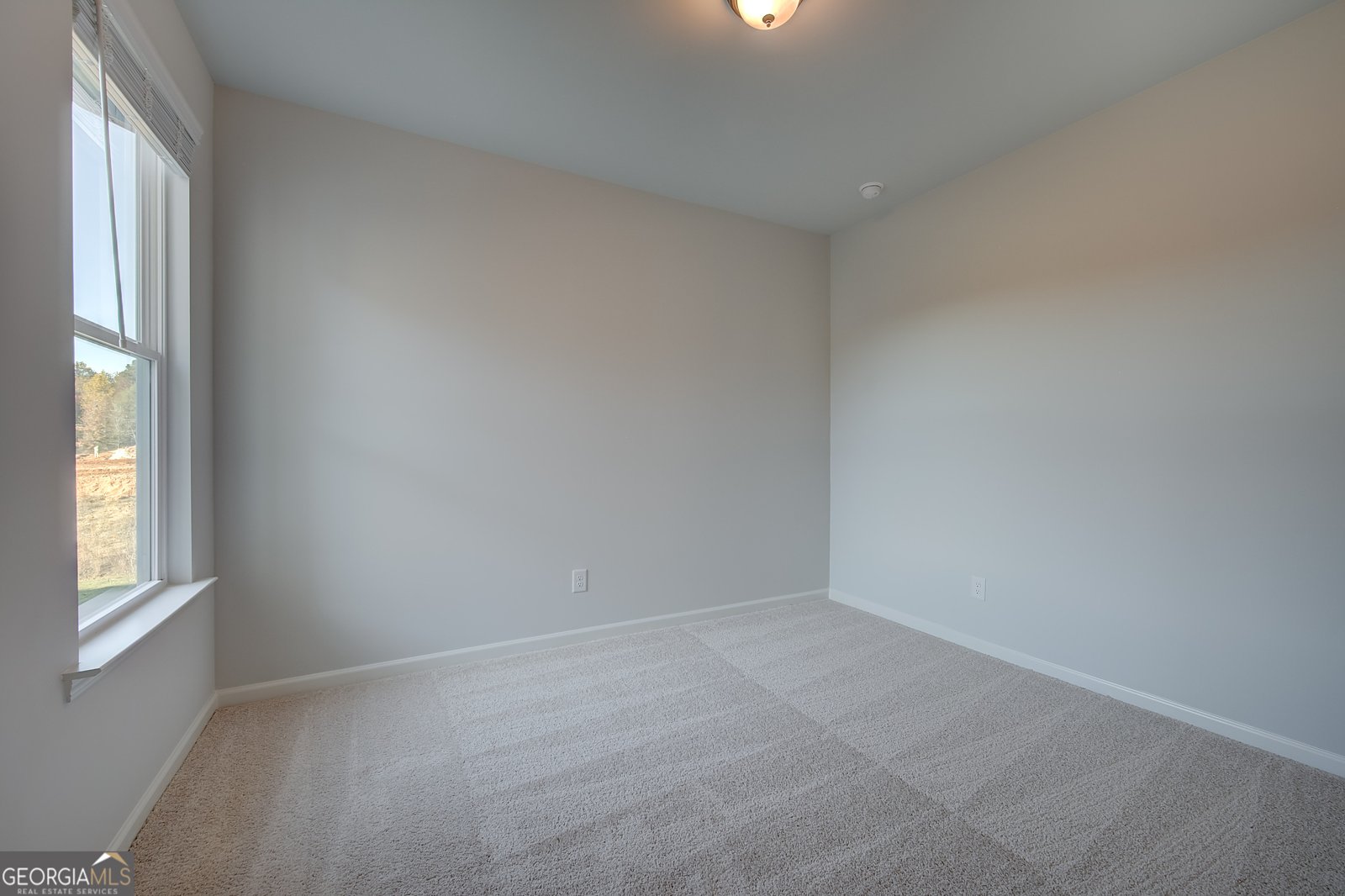 259 Abbotts Crossing Circle Conyers - Photo 15