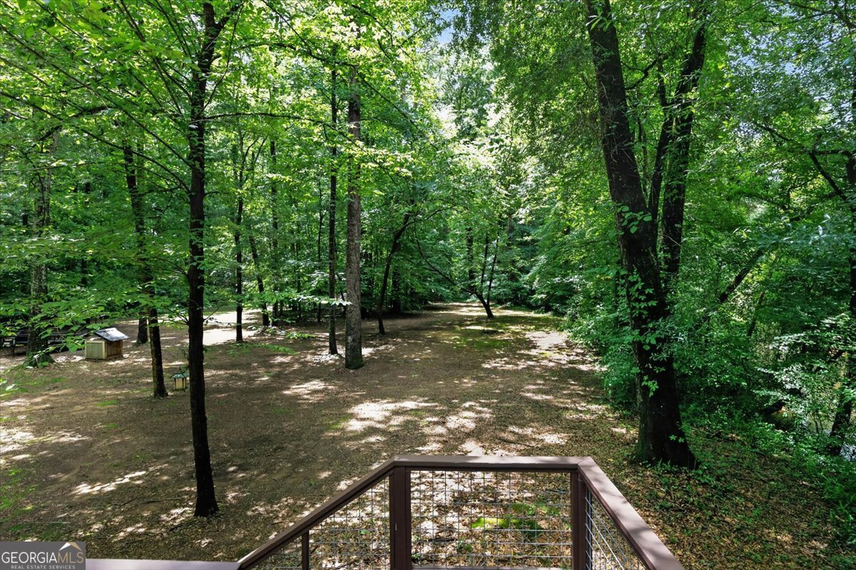 13081 Ga Highway 87 Juliette - Photo 21