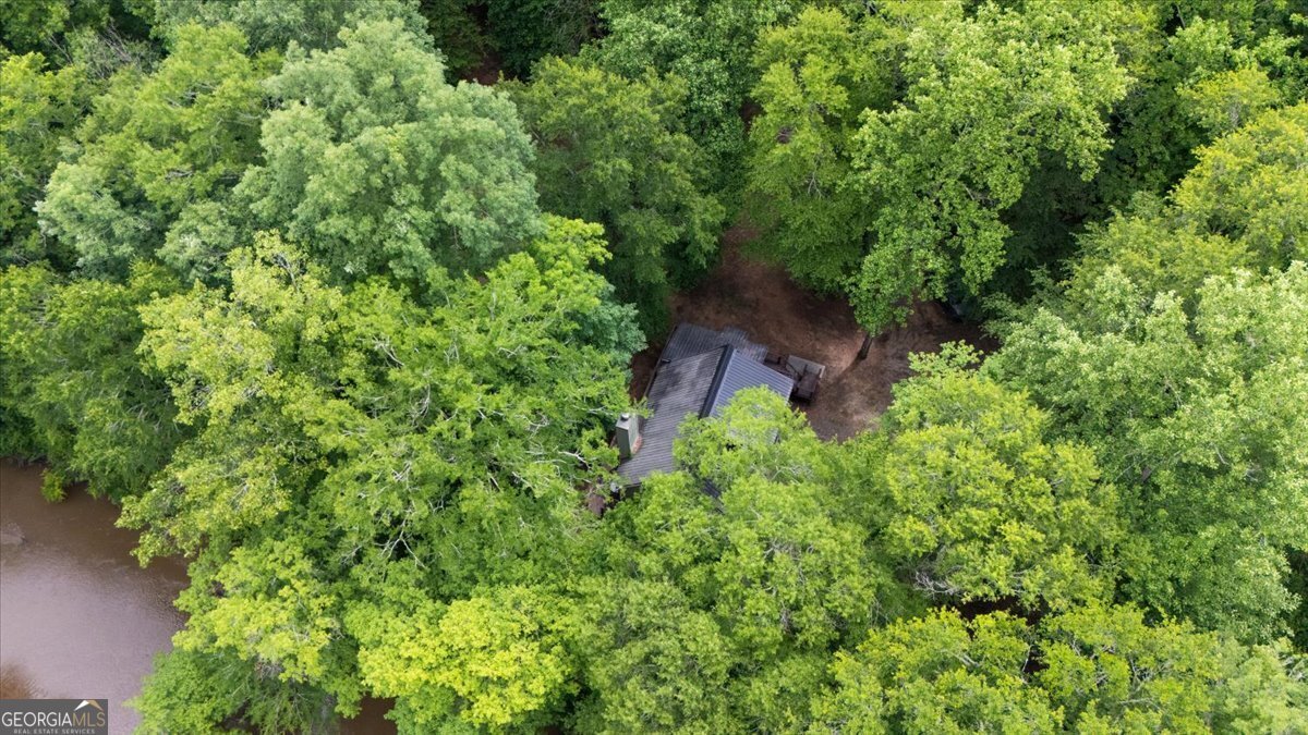 13081 Ga Highway 87 Juliette - Photo 29