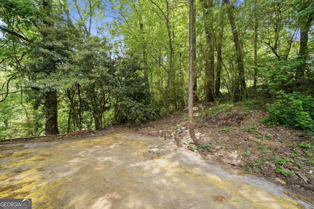 303 Quail Hollow Drive Woodstock - Photo 39