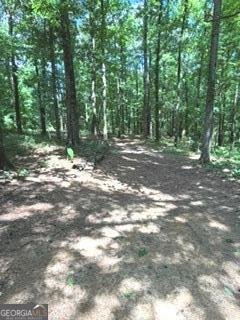943 Boss Hardy Road Winder - Photo 7