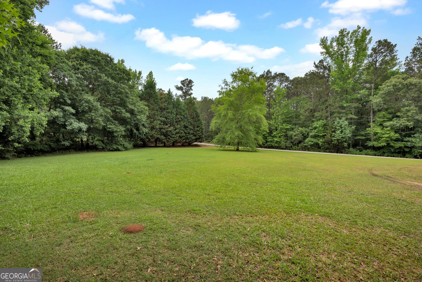 182 Long Piney Road Mansfield - Photo 44
