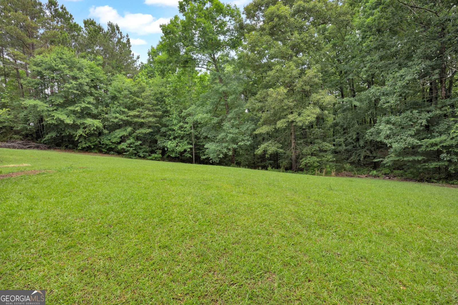 182 Long Piney Road Mansfield - Photo 50