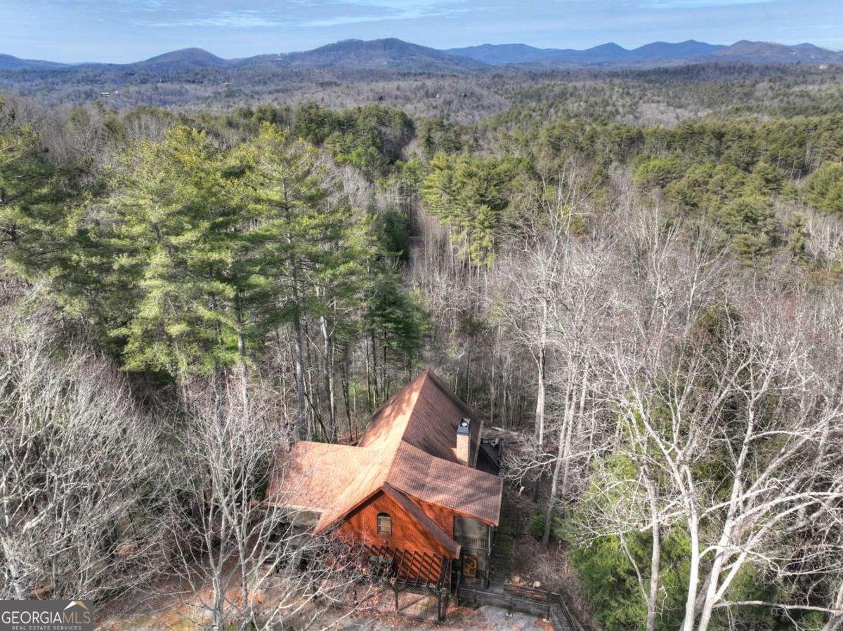 71 Rising Fawn Drive Mineral Bluff - Photo 39