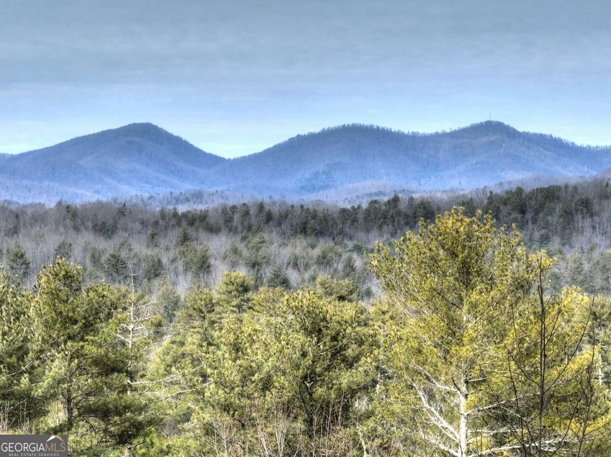 71 Rising Fawn Drive Mineral Bluff - Photo 48