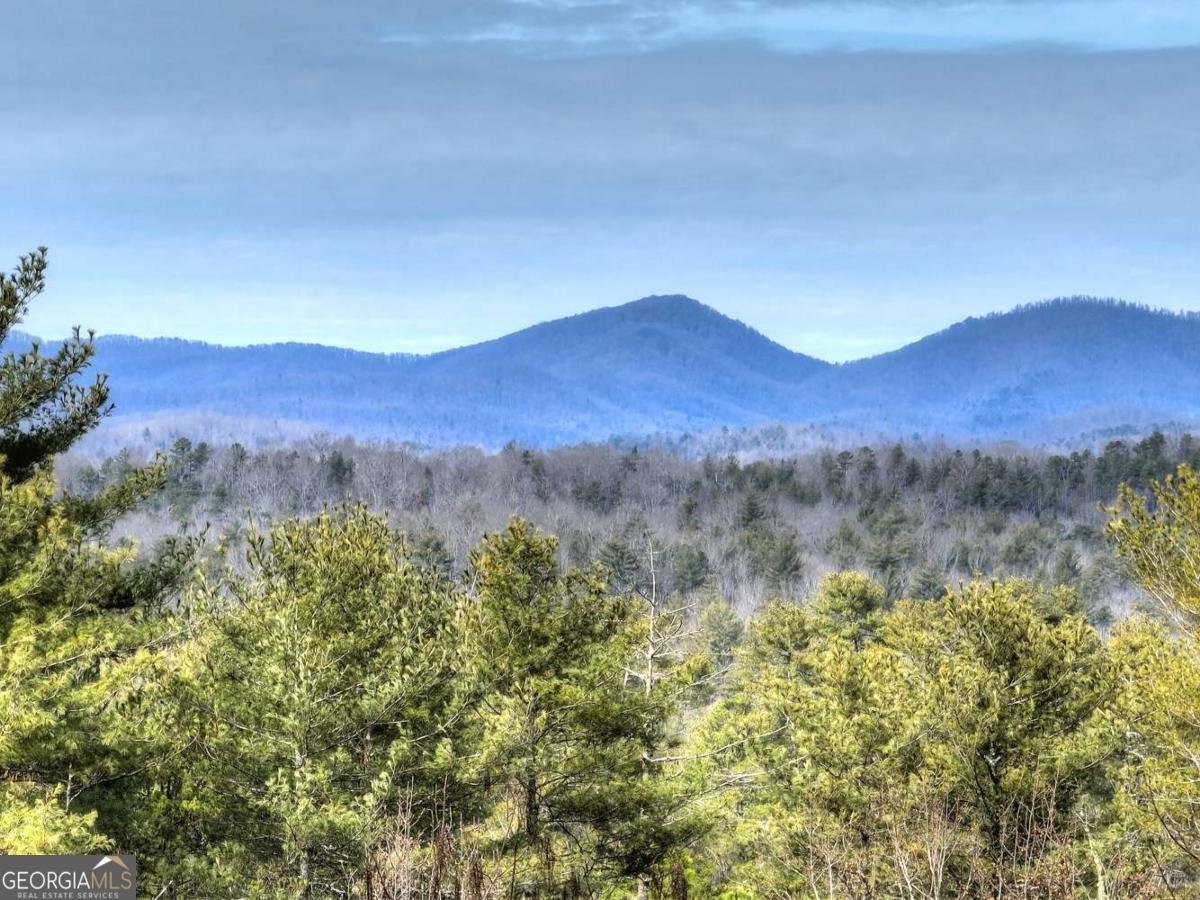 71 Rising Fawn Drive Mineral Bluff - Photo 49