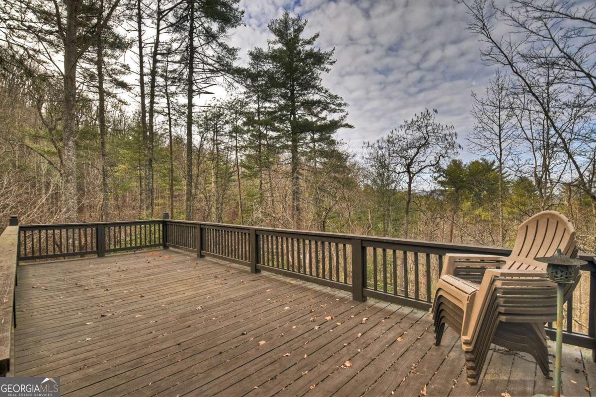 71 Rising Fawn Drive Mineral Bluff - Photo 50